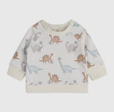 Soccer Dino Baby Jogger & Pants Set (Organic Cotton)