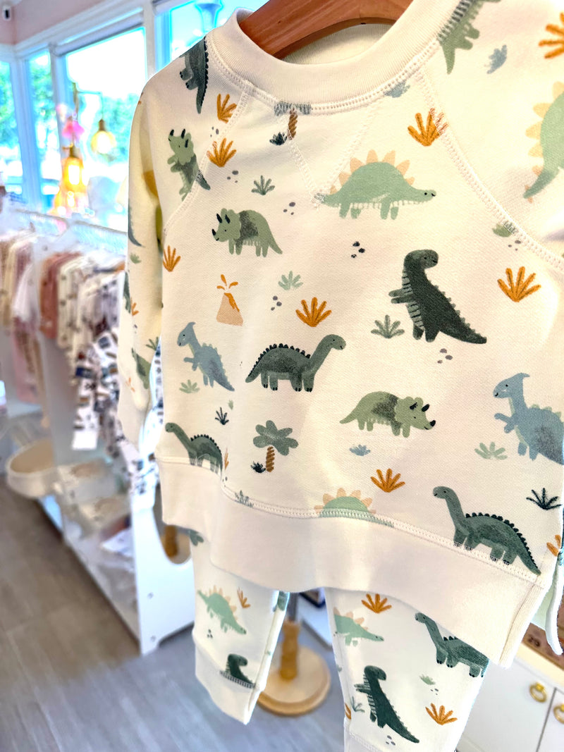 Soft Dinos - Green
Raglan Sweatshirt + Jogger Set