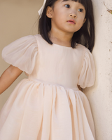 Sofia Dress Blush