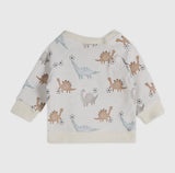 Soccer Dino Baby Jogger & Pants Set (Organic Cotton)