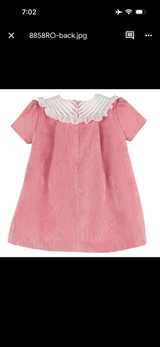 Randalls Bib Dress.