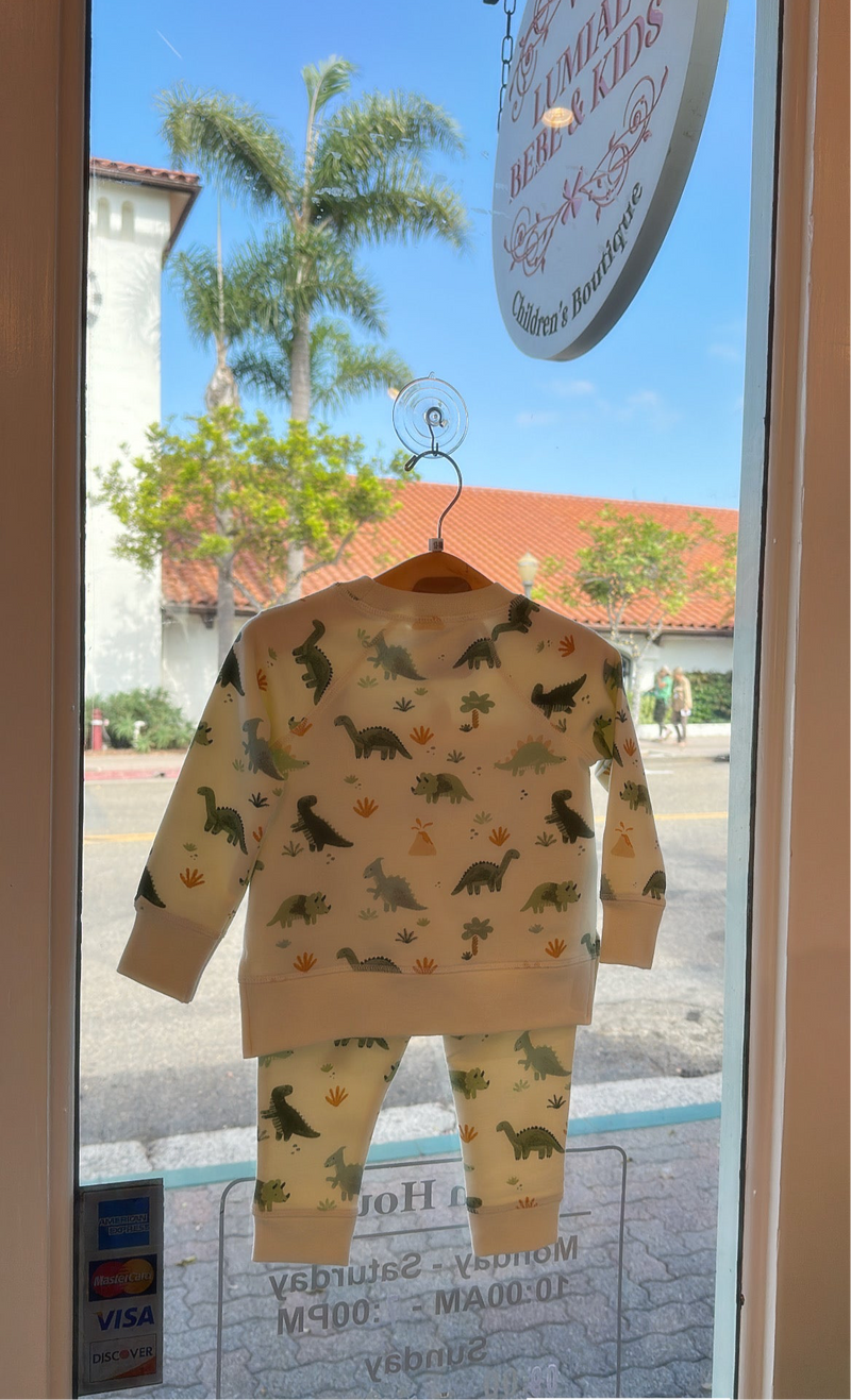 Soft Dinos - Green
Raglan Sweatshirt + Jogger Set